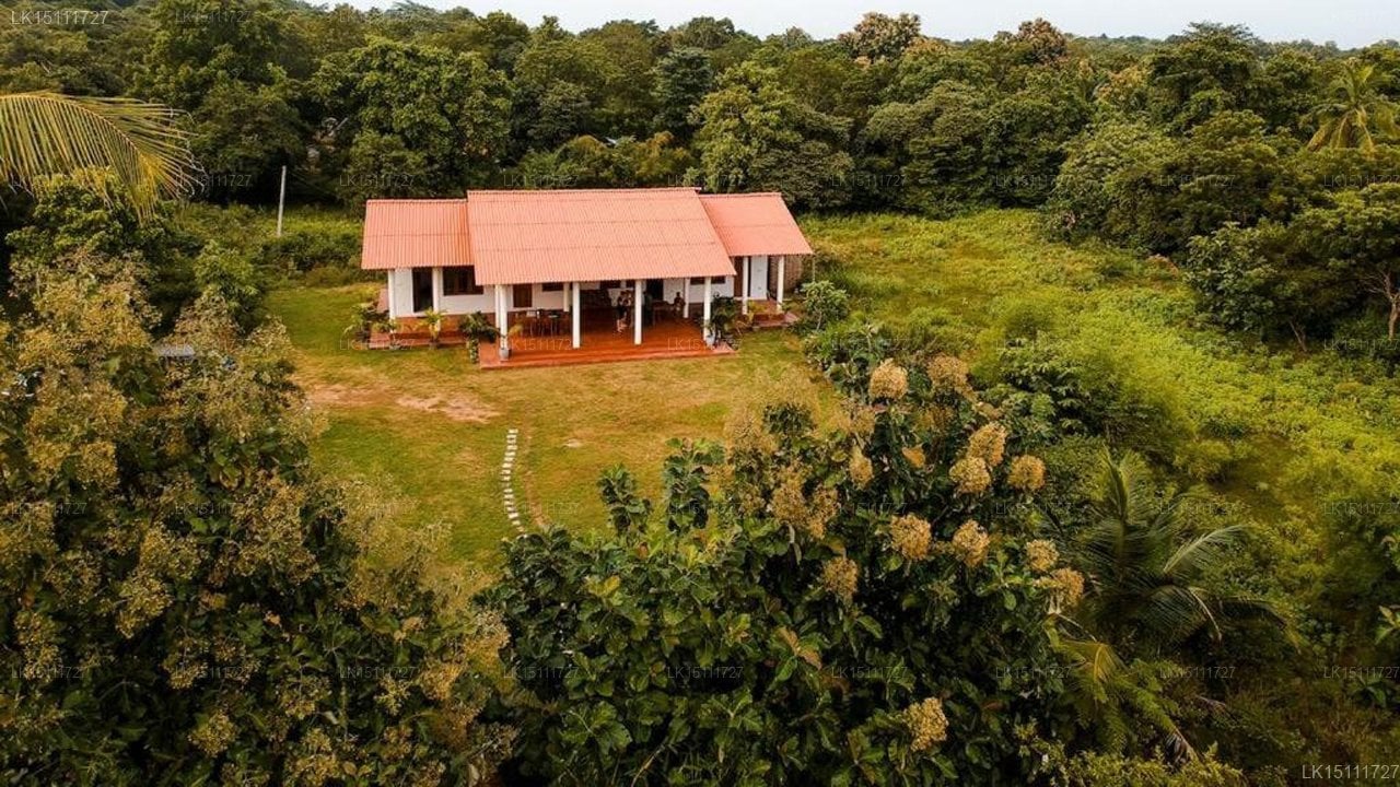 Ruins Villa Polonnaruwa