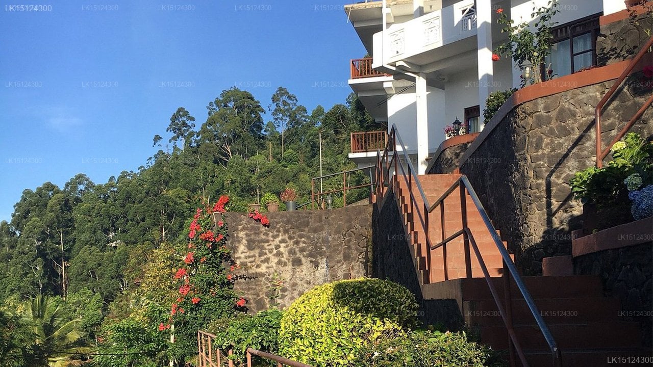 Sky Green Resort
