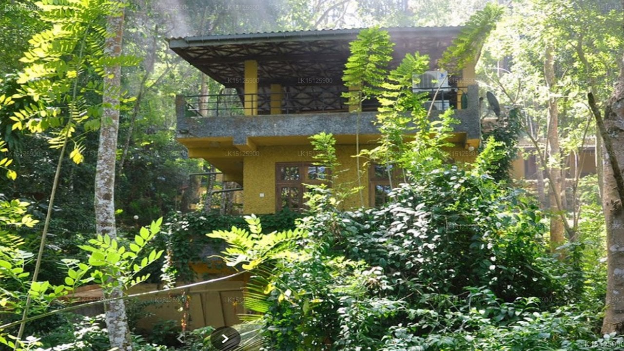 Hantane Shadow Resort