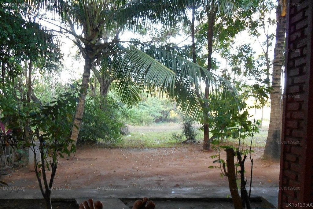 Grand Regent Holiday Resort and Spa