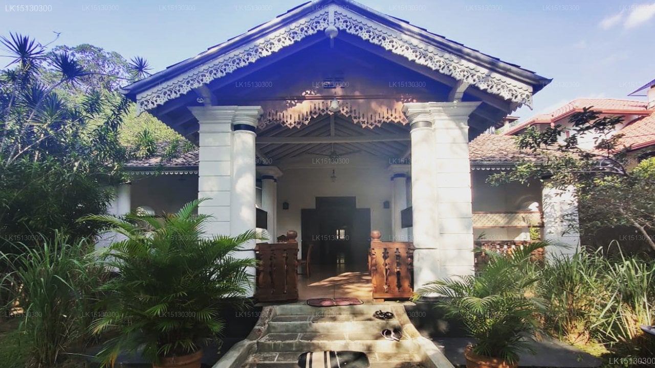 Holiday Bungalow in Wackwella
