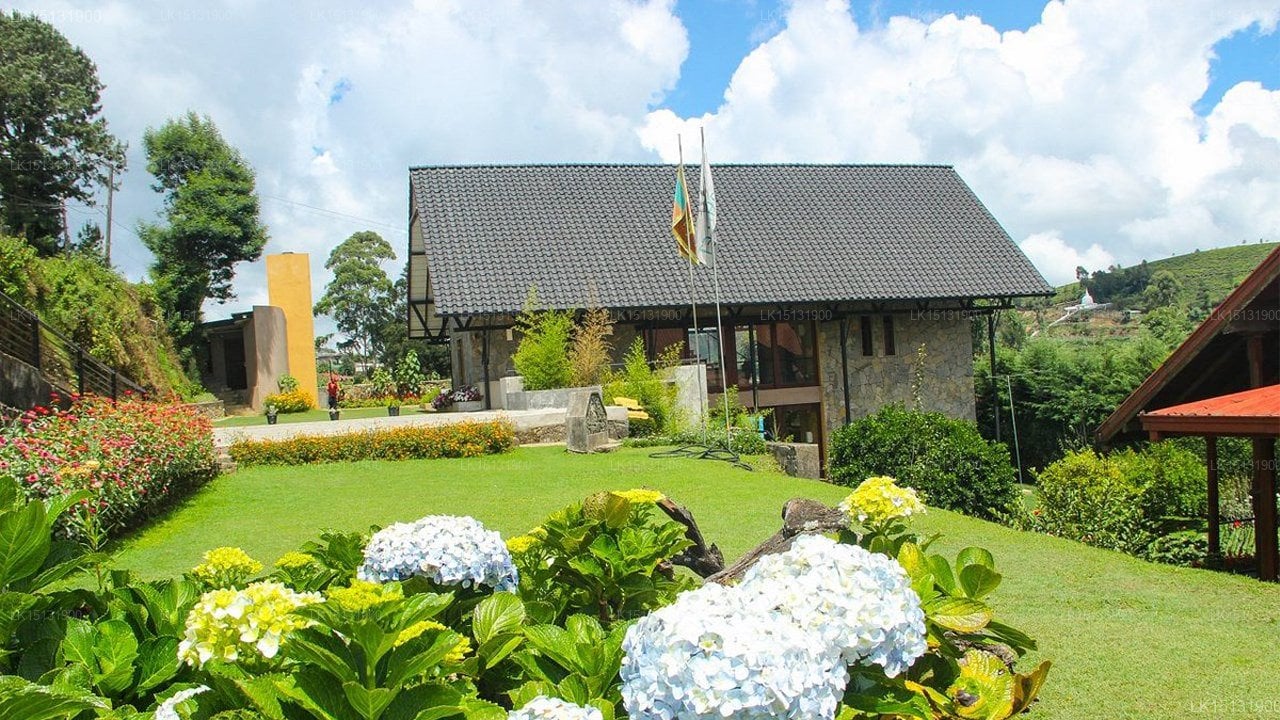 Oasis Bungalow
