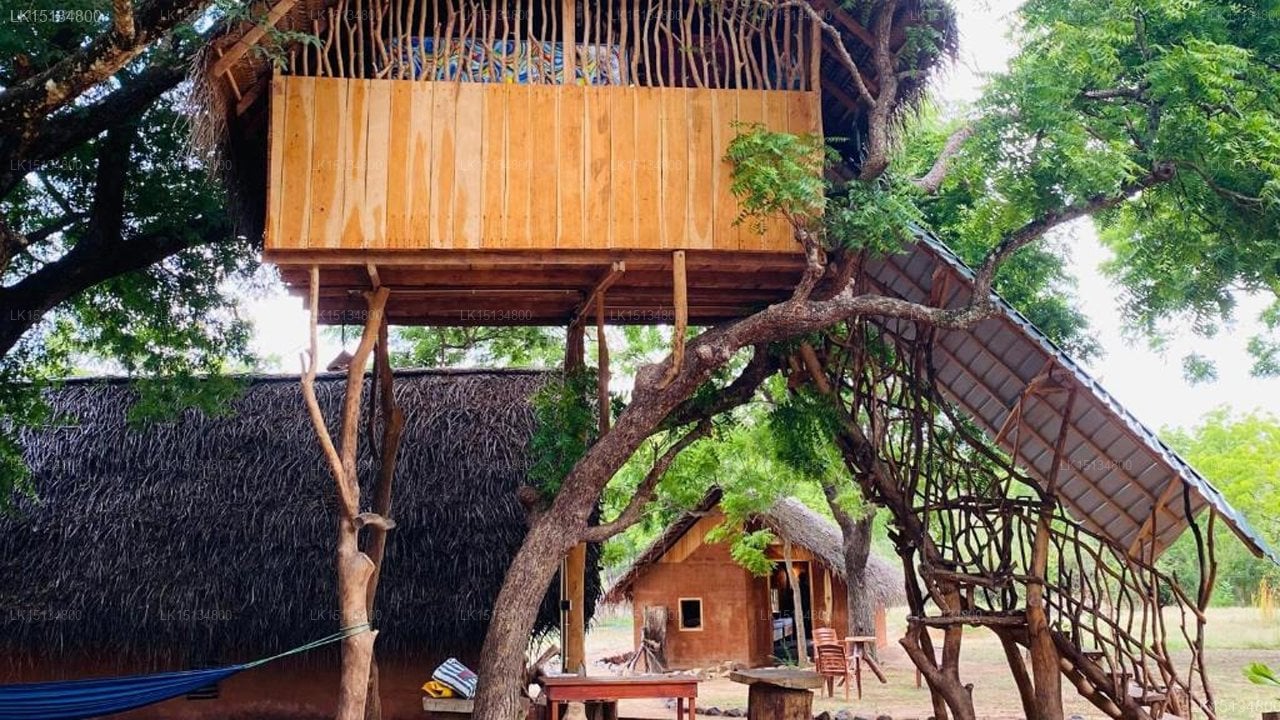 Eco Tree House