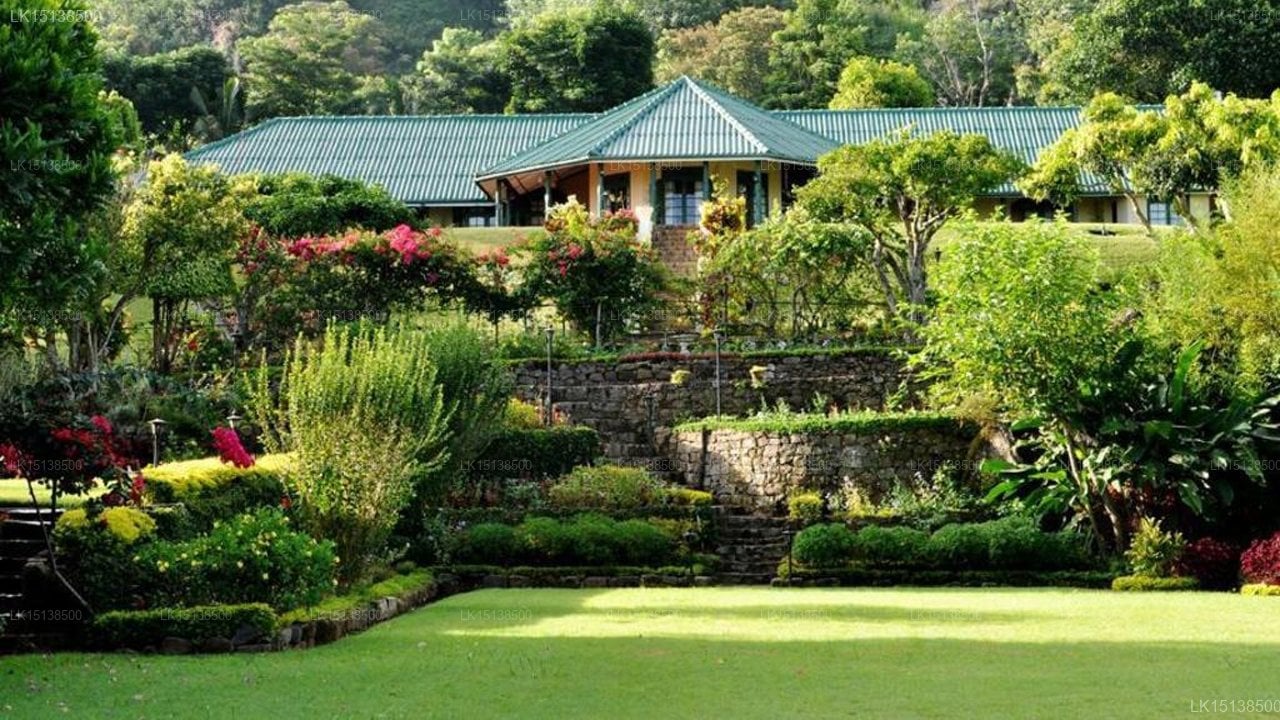 Viharagala Estate Bungalow
