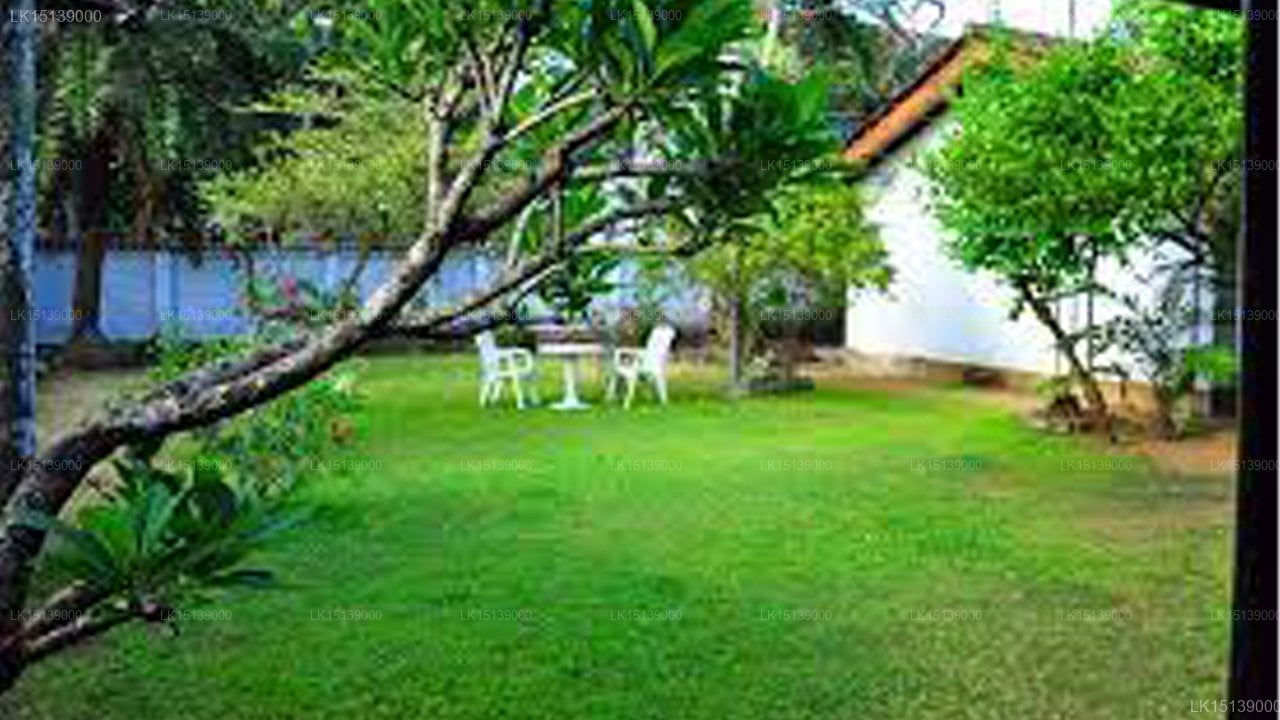 Cottage Garden