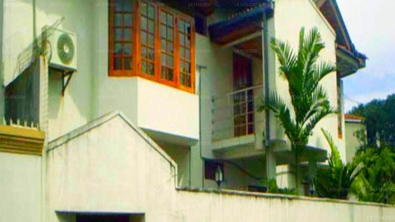 The White Nest