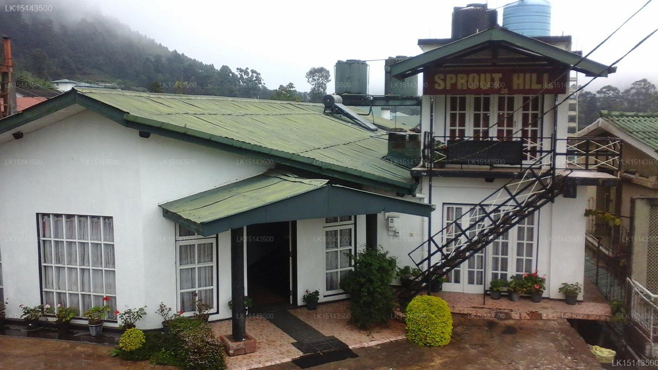 Sprout Hill