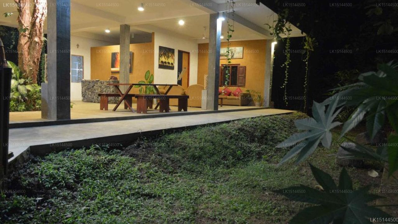 Wild Elephas Lodge
