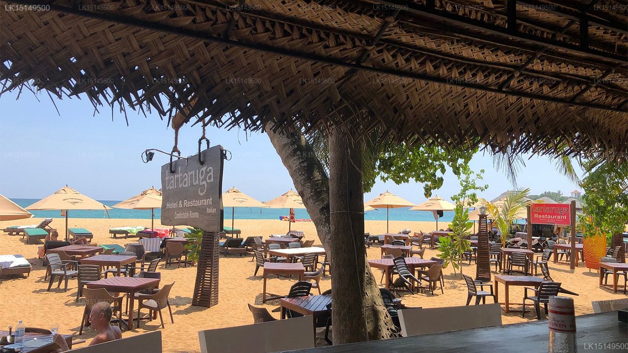 Tartaruga Resort & Beach Restaurant