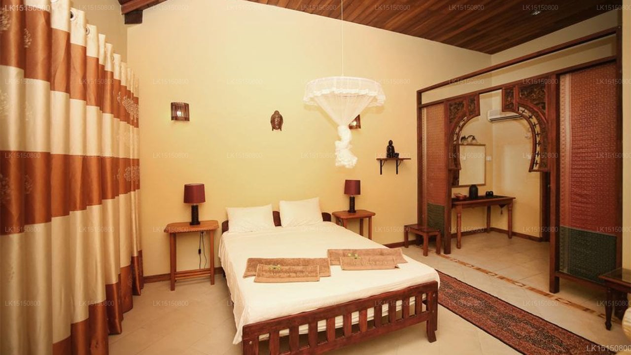 Lazy Lizard Hotel