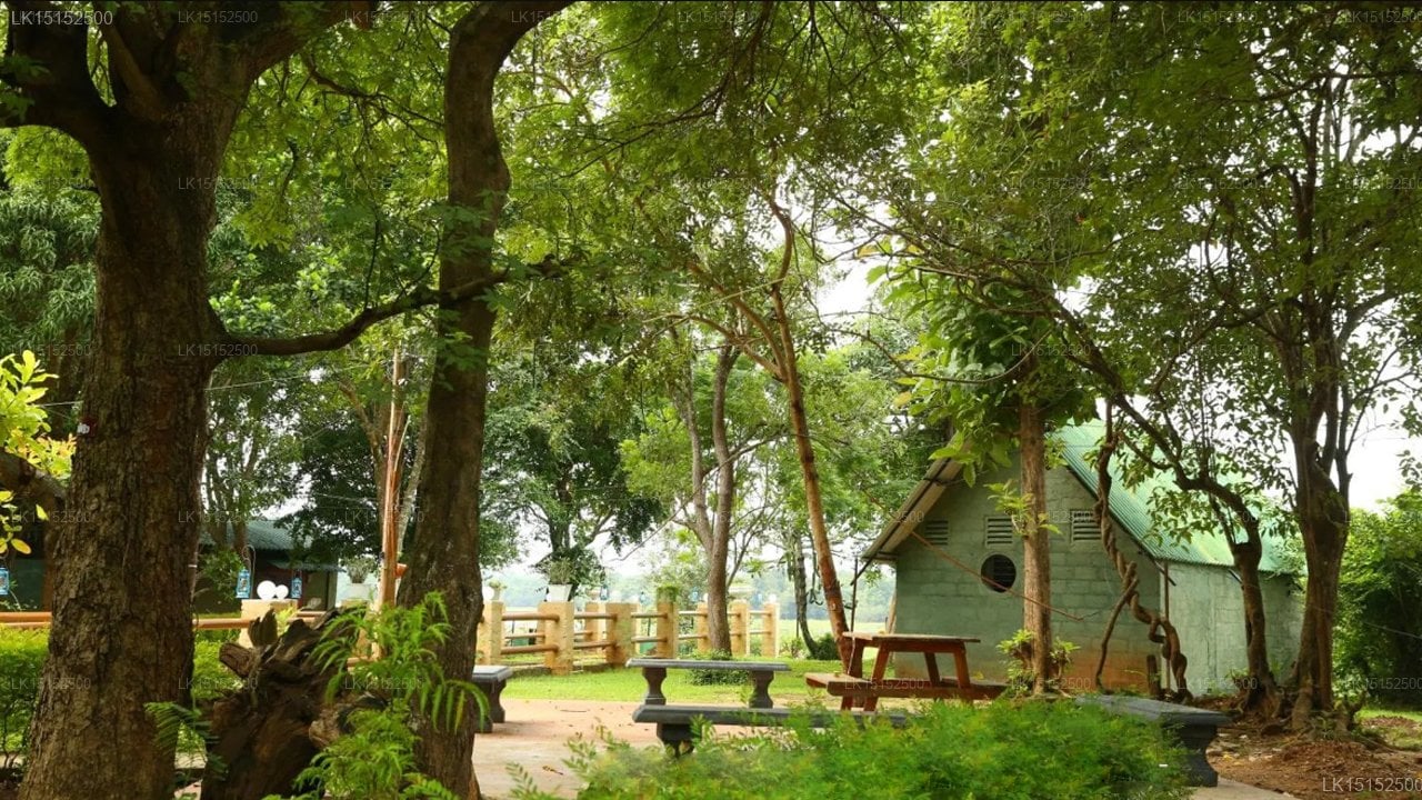 Wasgamuwa Safari Village Hotel