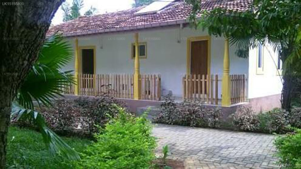 The Butterfly Inn