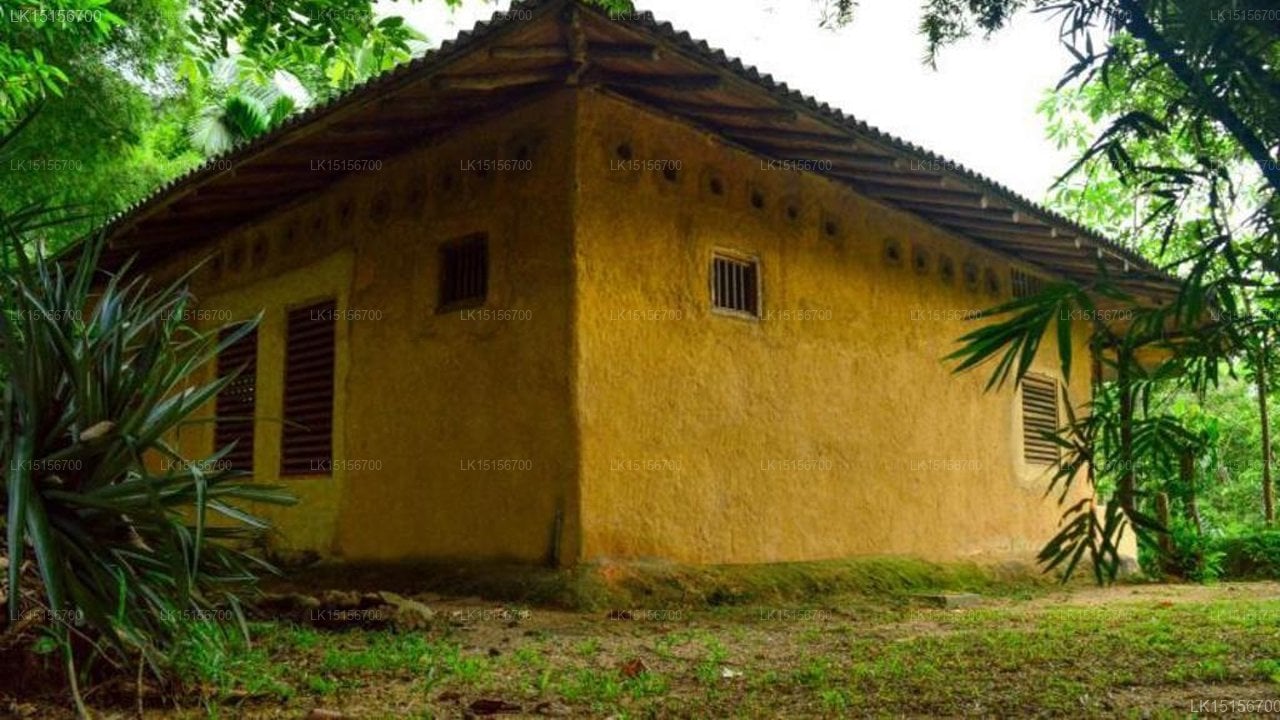 Sinharaja Seyana Eco Lodge