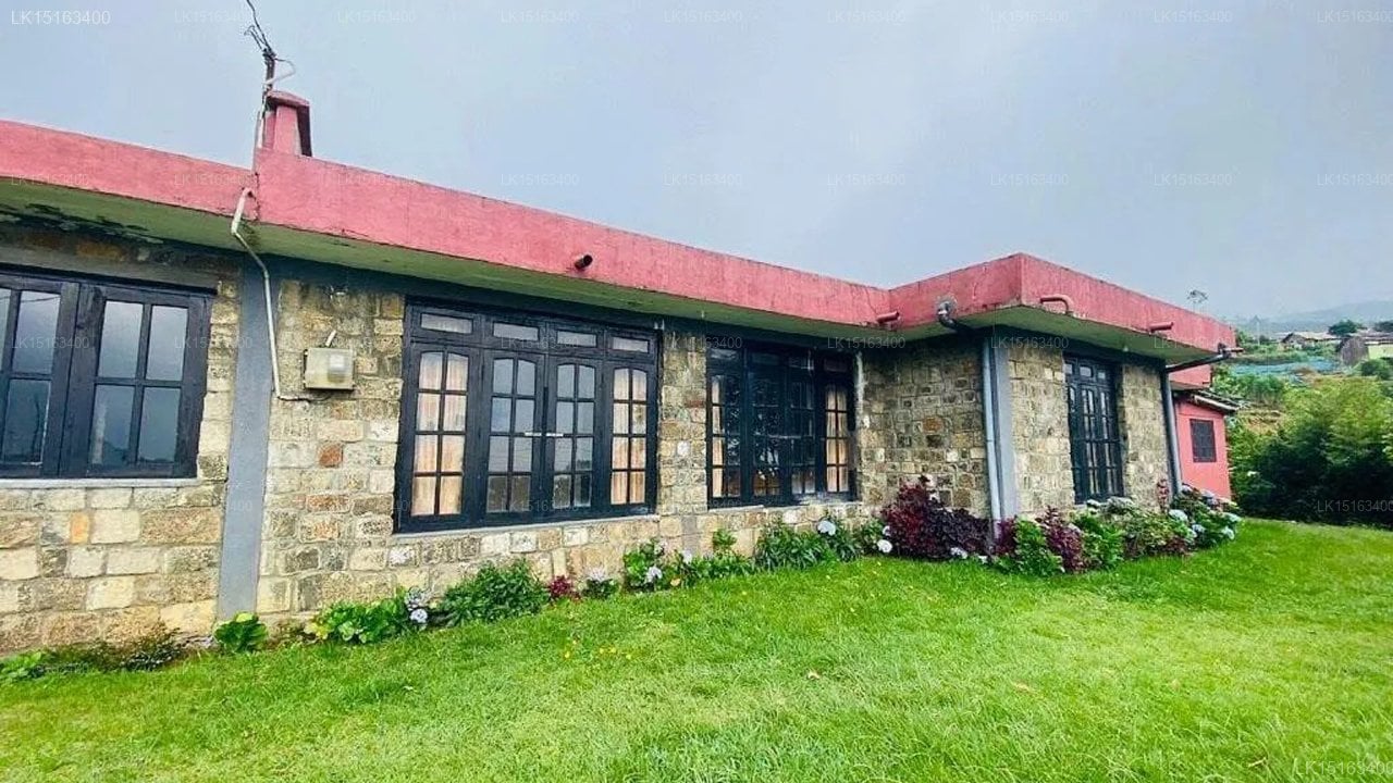 Misty Mountain Lodge
