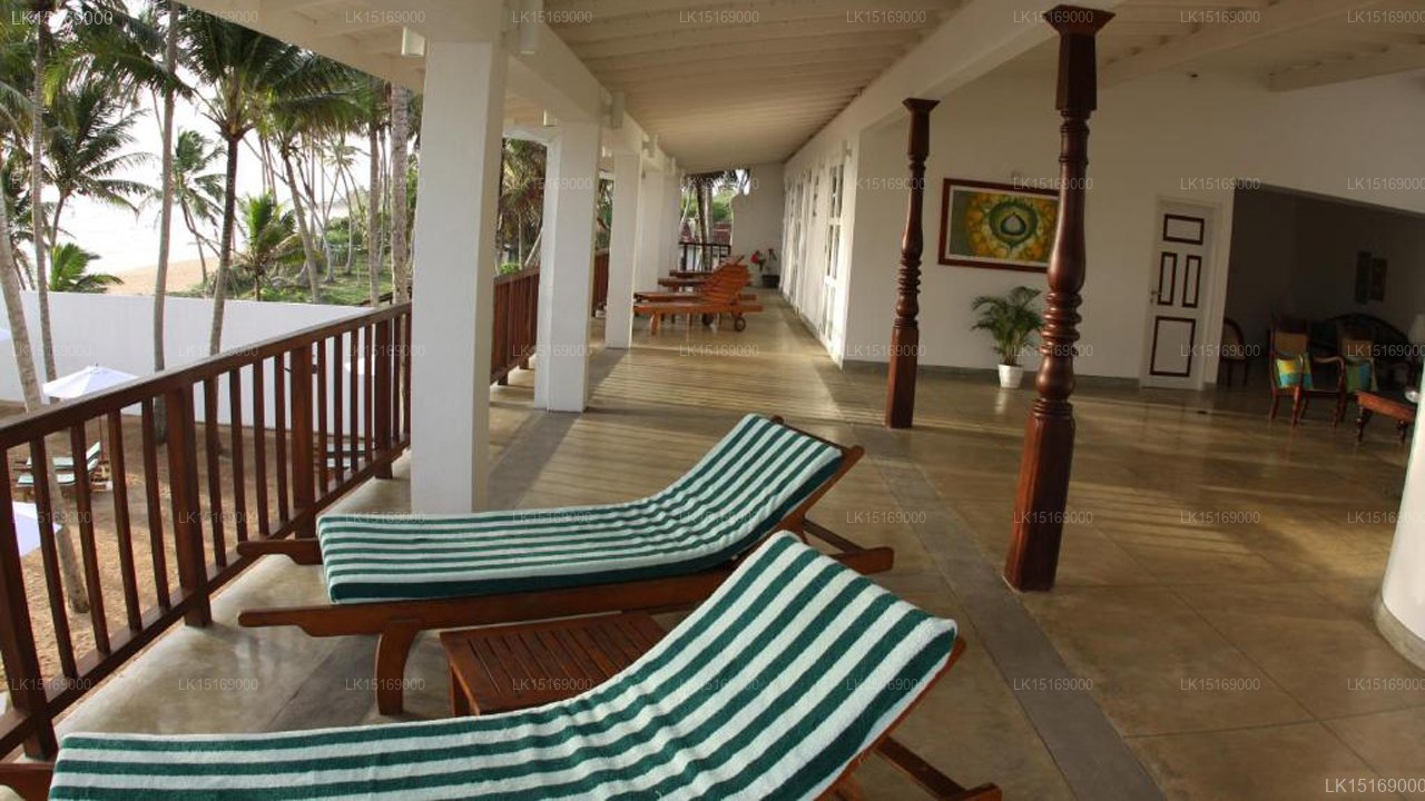 Oasis Ayurveda Bridge