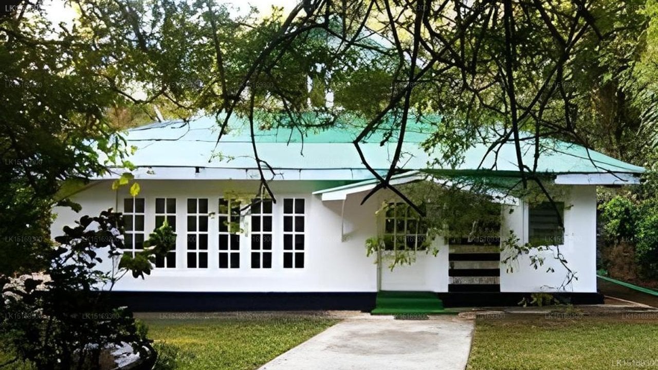Surrey Bird Sanctuary & Holiday Resort