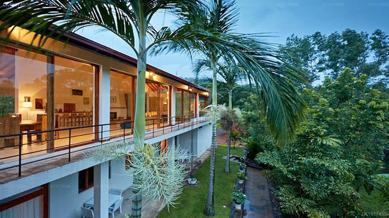 Glass House