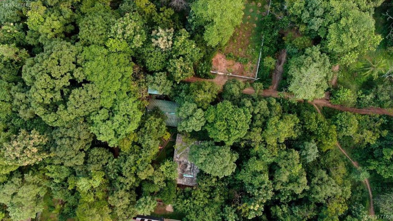 Woodsy Villa