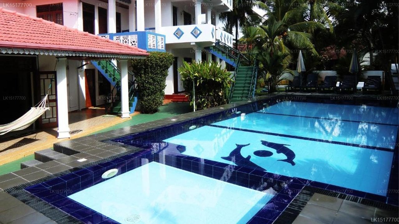 The Oasis Villa
