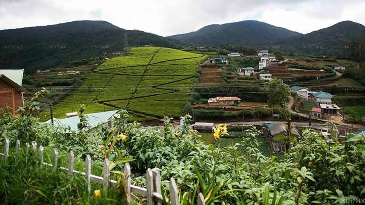 Ranmin Cottages