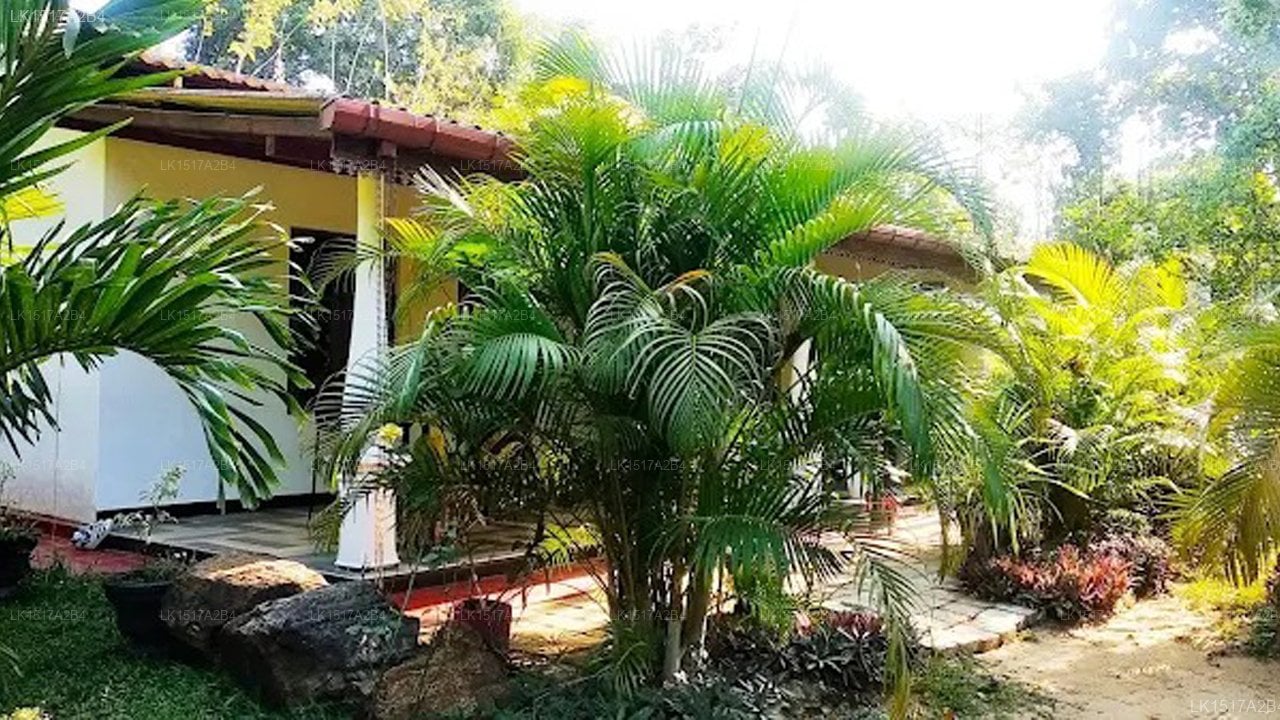 Danara Homestay