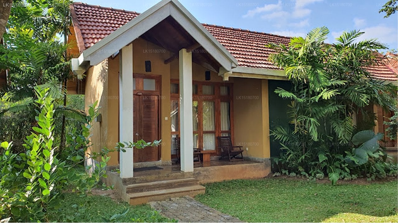 Saunter Paradise Hotel