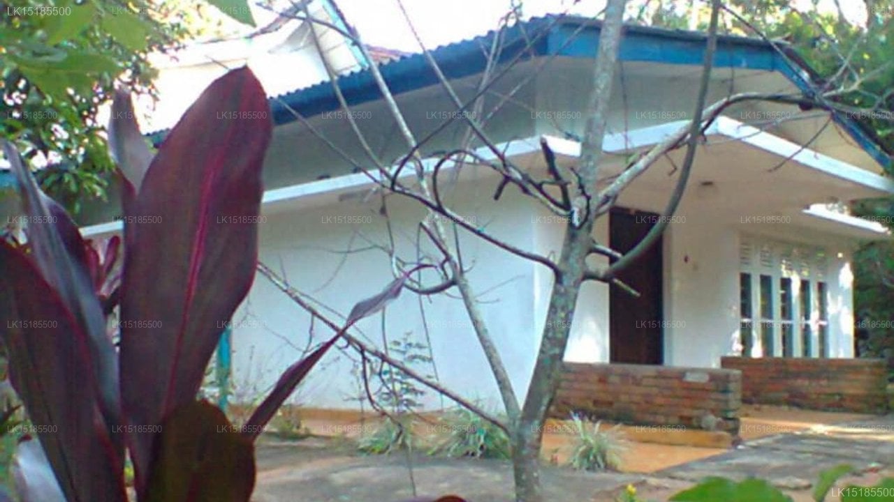 Kandy Tropical Garden House