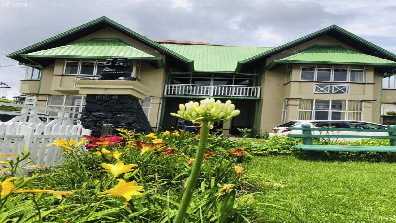 Gregory's Bungalow