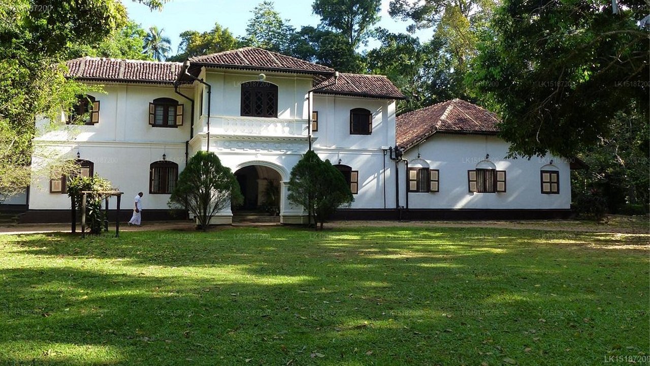 Walauwa