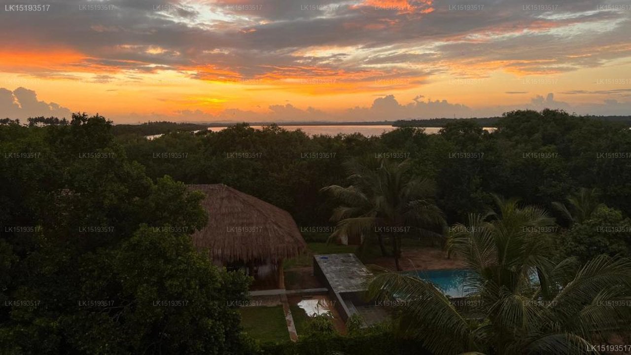 AT ONE - with Nature Glamping Resort