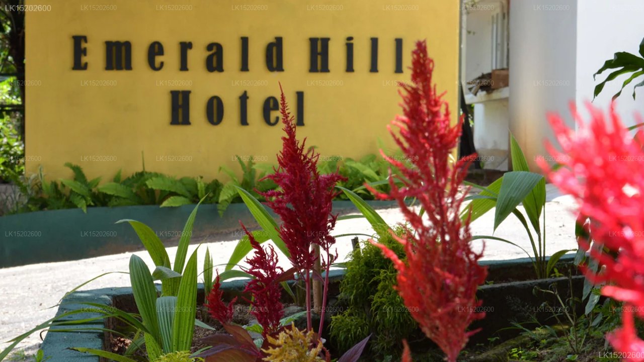 Emerald Hill Hotel