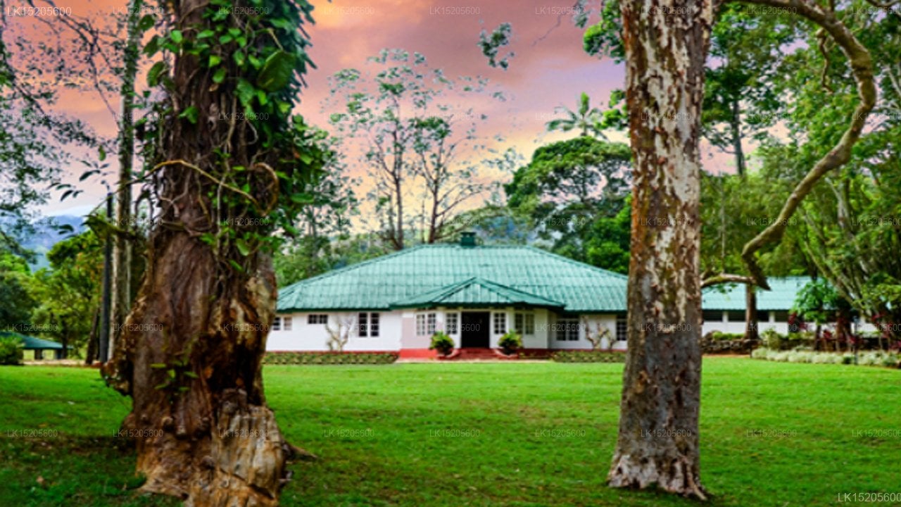 Galaha Tea Bungalow