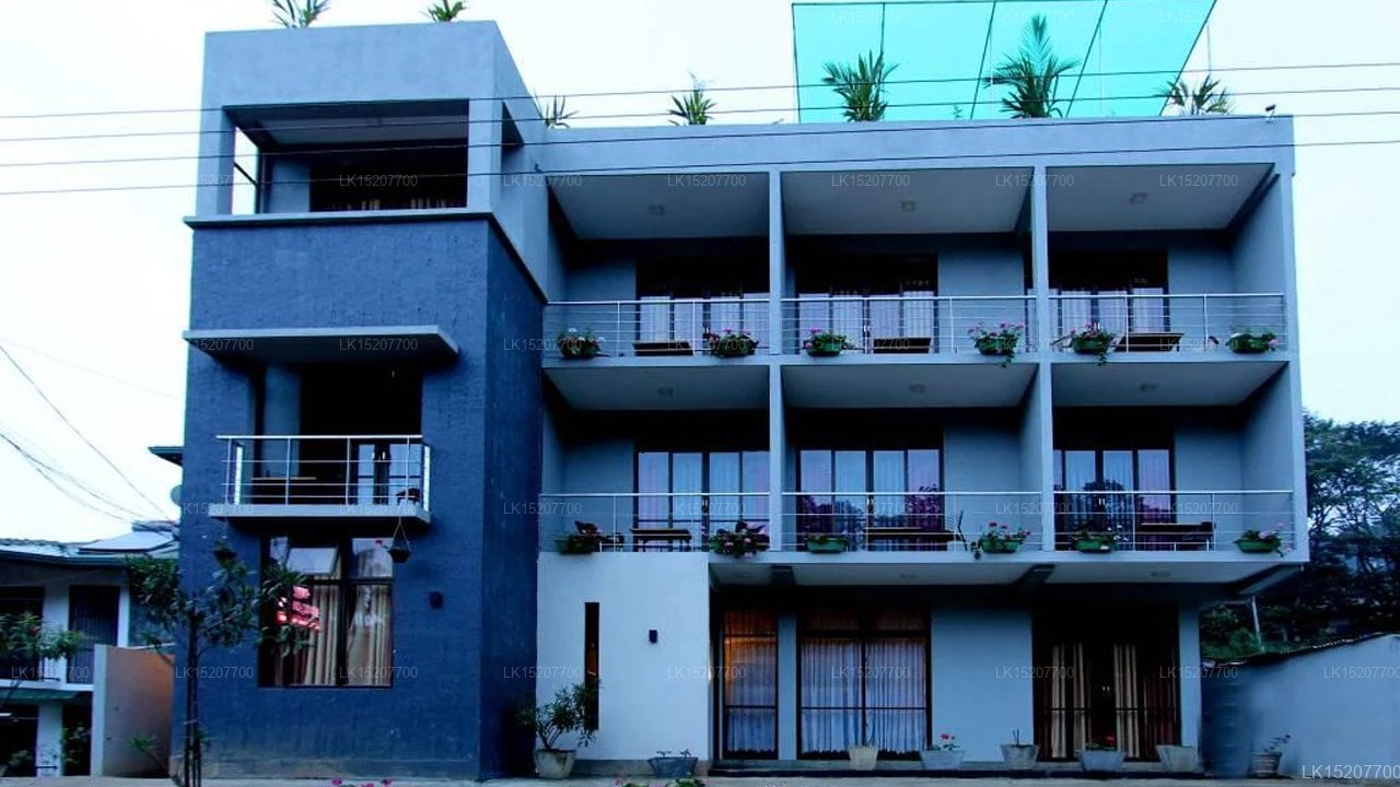 Ella Rock House