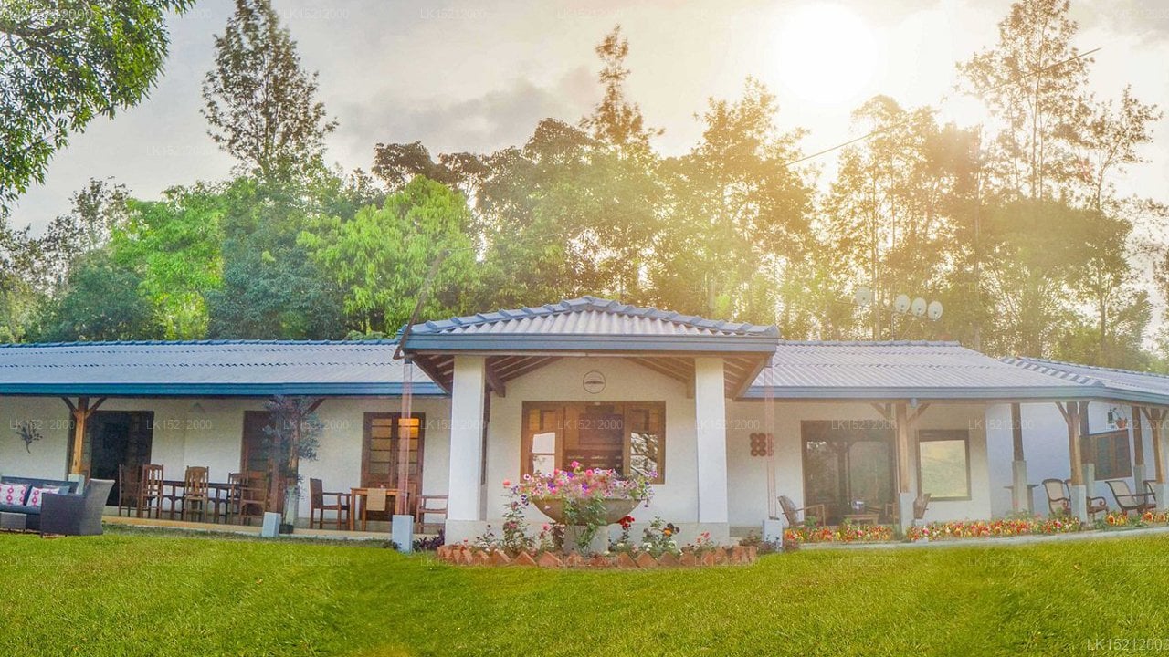 Ceylon Tea Bungalows