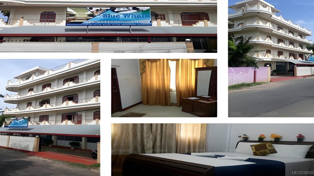 Hotel Blue Whale