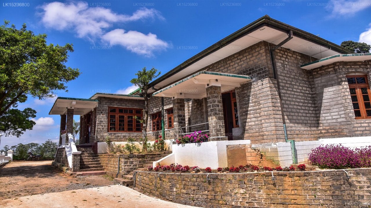 Grand Peak Tea Garden Hotel