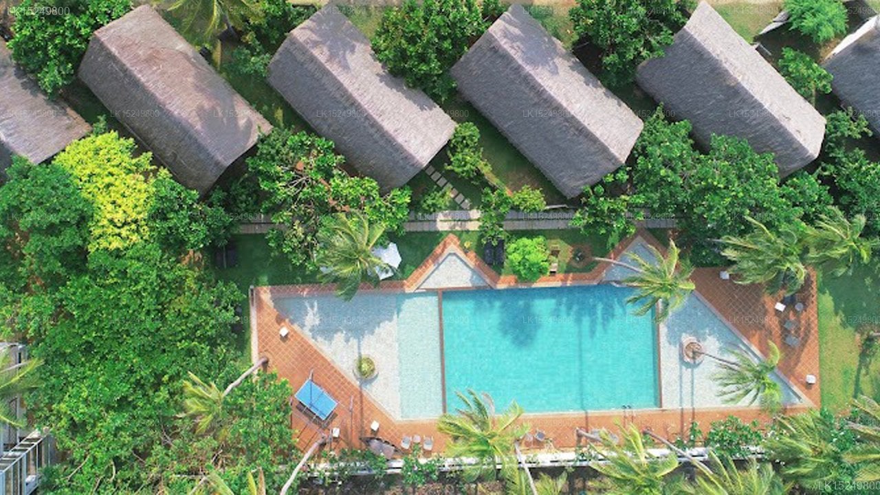 Blue Whale Resort