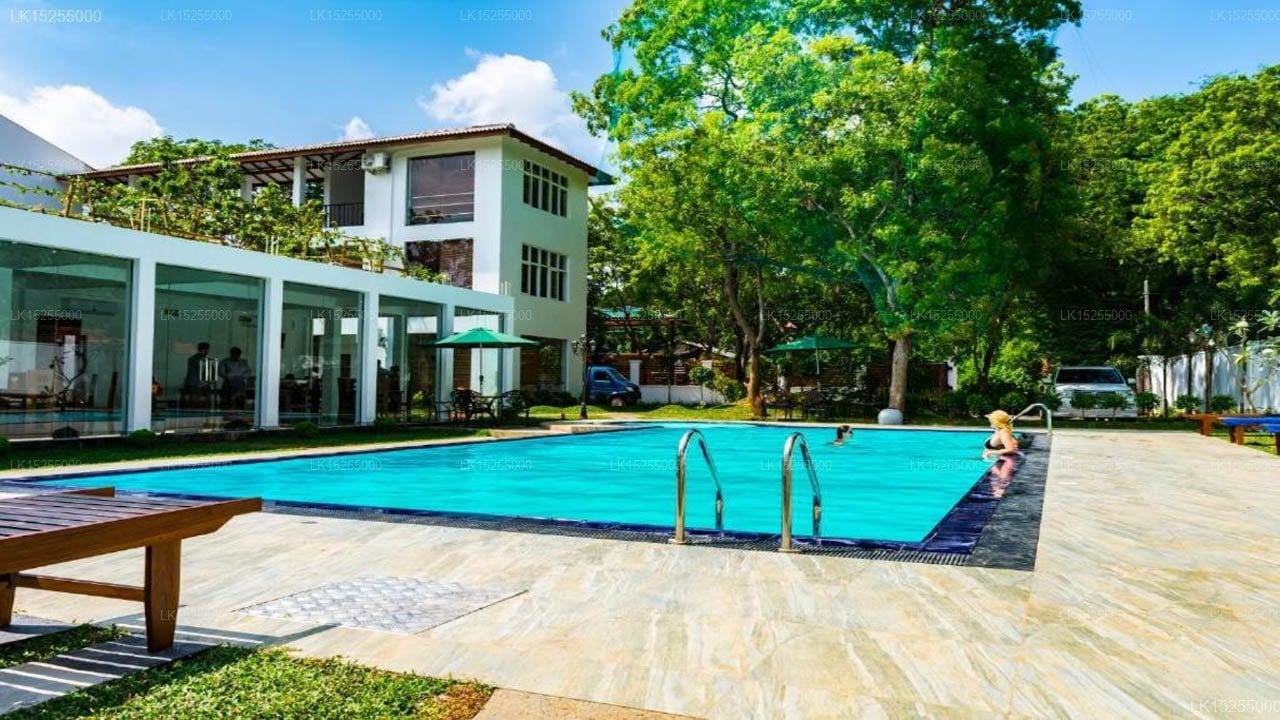 Elephant Eye Hotel