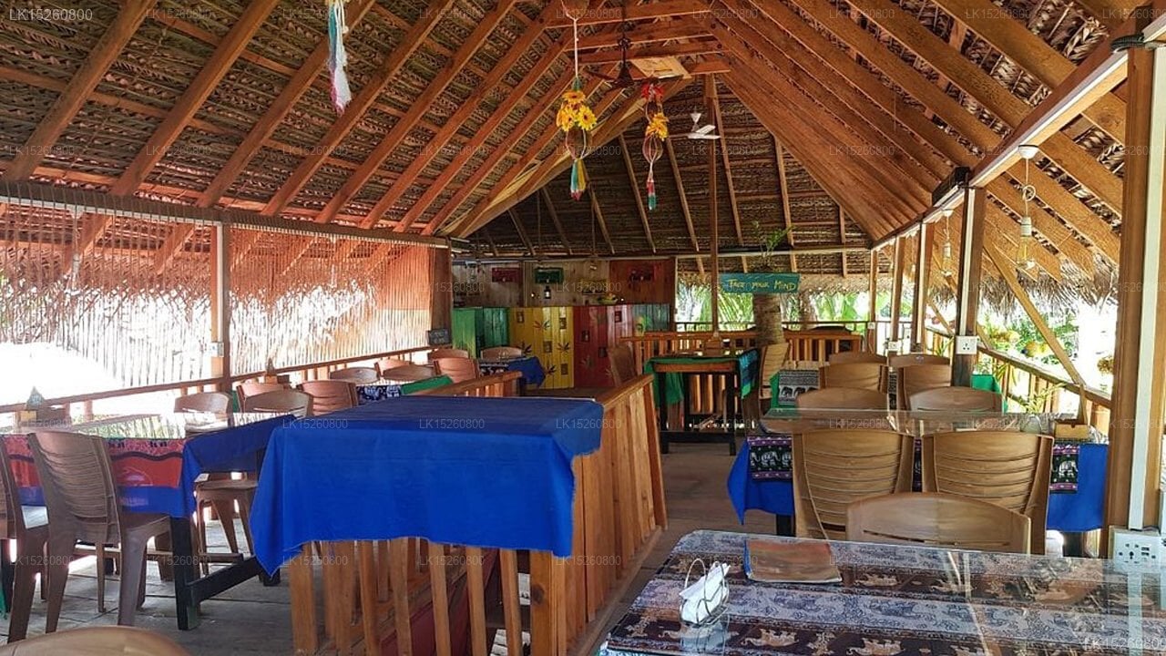 Summer Guest House