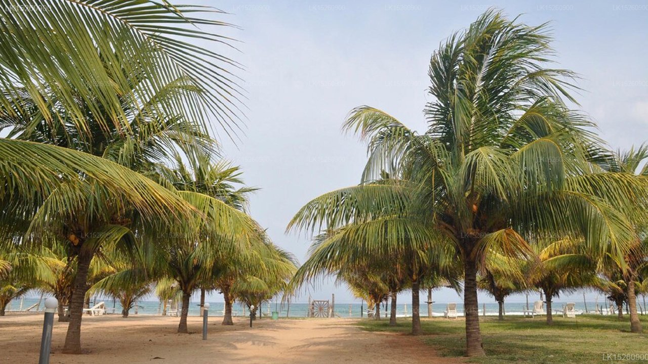 Palm Beach Nilaveli