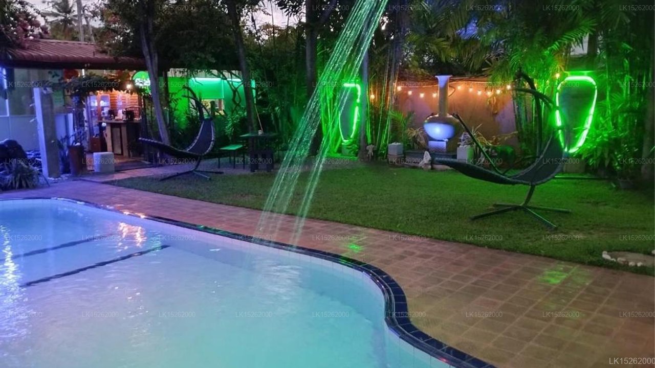 Palms Villa
