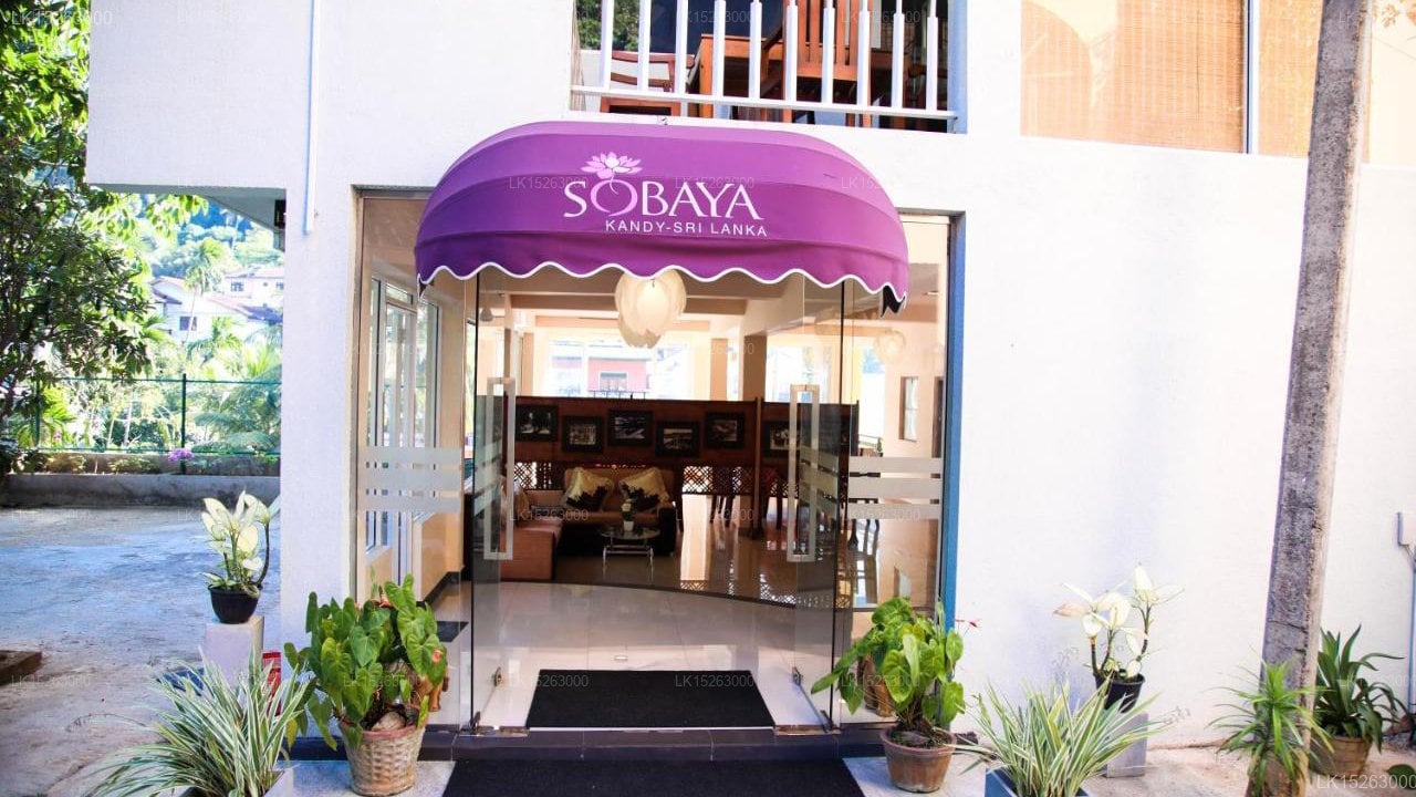 Sobaya