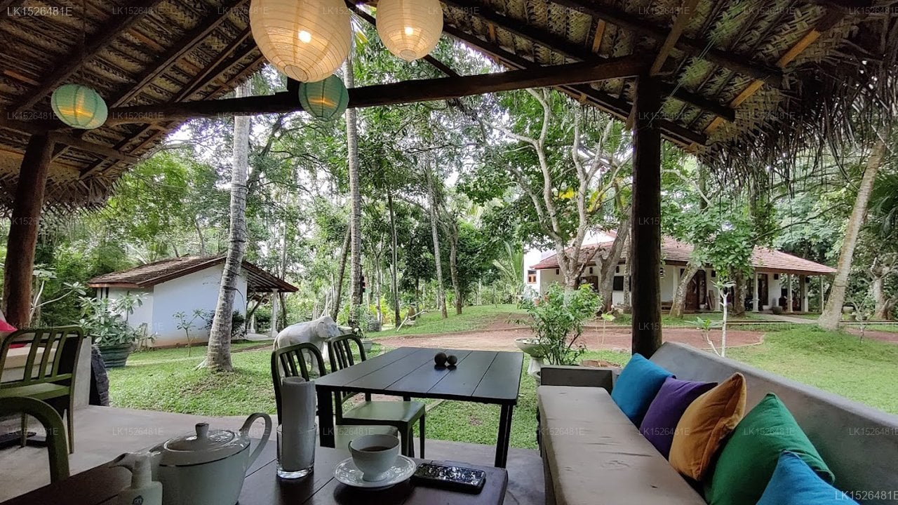 Jackland Holiday Cabanas