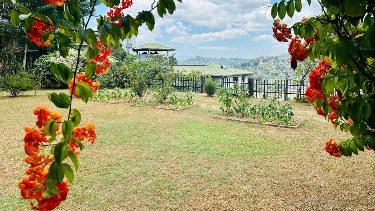 The Views Kandy