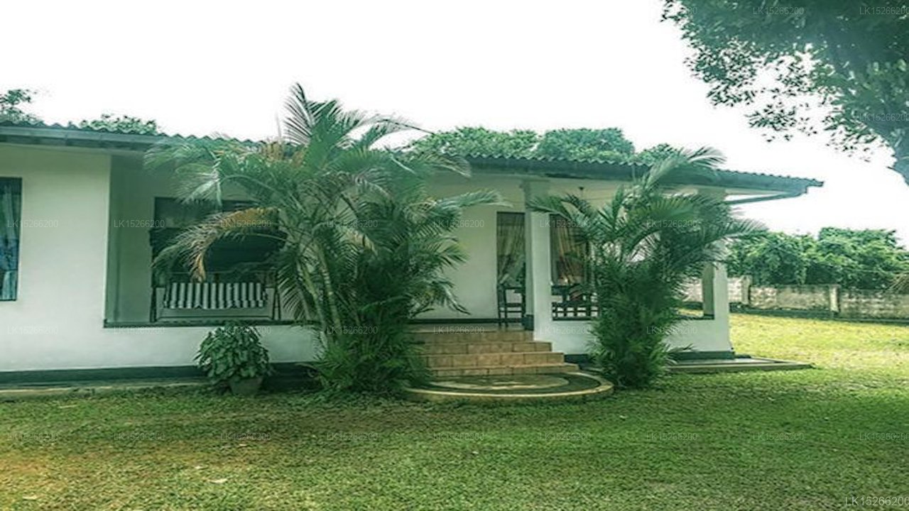 Green Grass Hostel