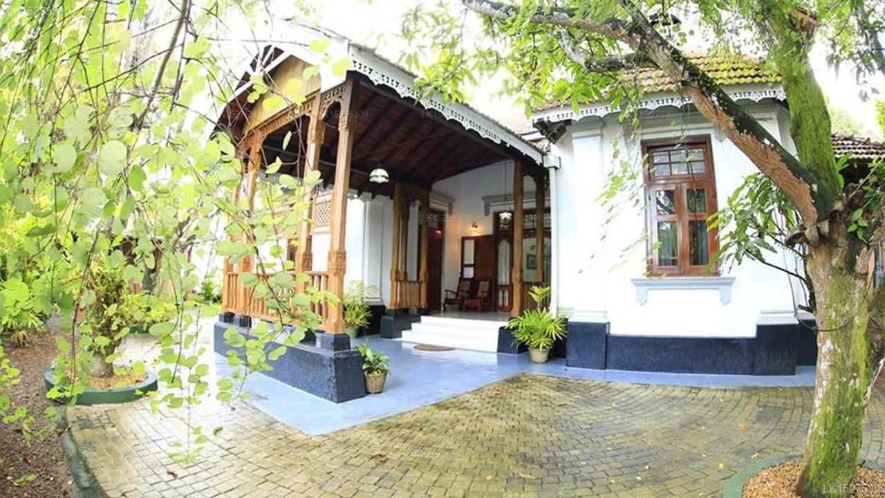 vila 80