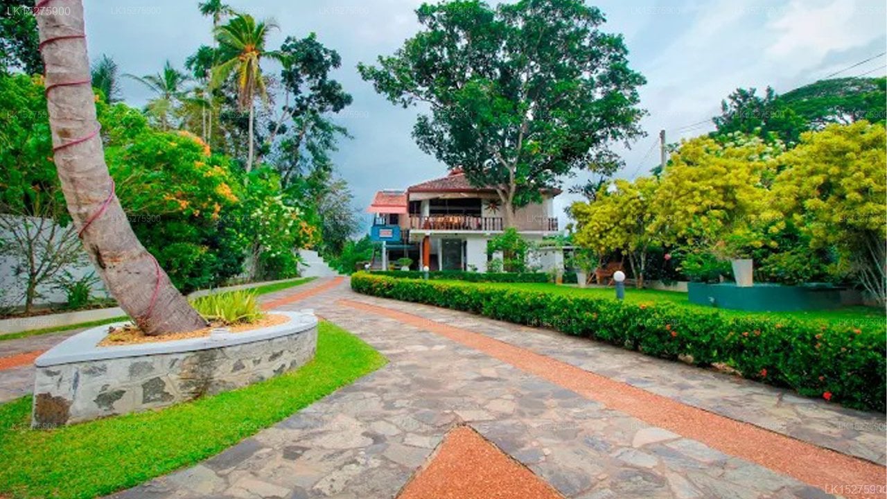 Rockery Villa