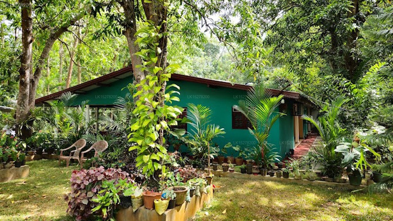 Palitha Homestay