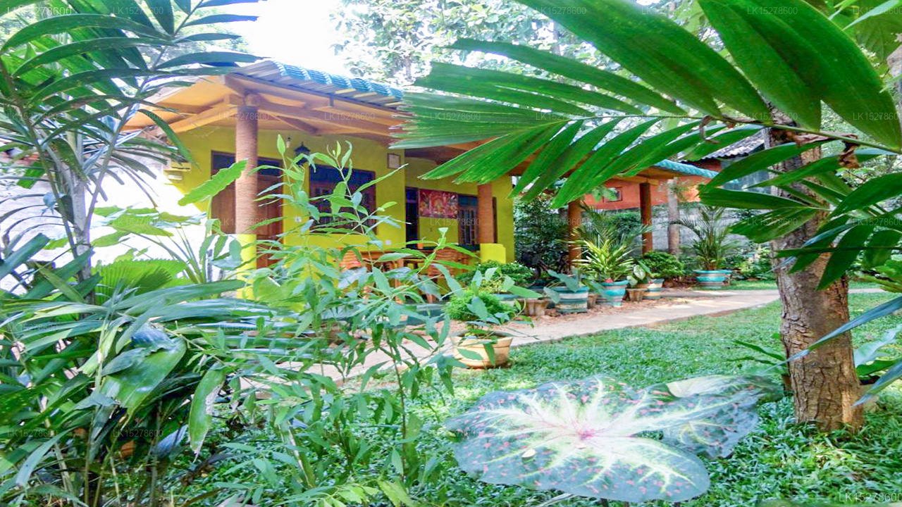 Sigiri Neo Homestay