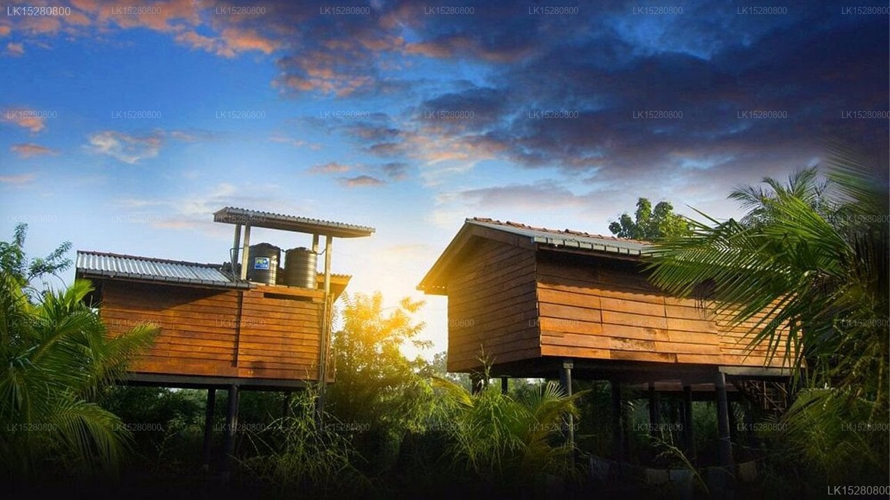 Sarilco Rock View Treehouse
